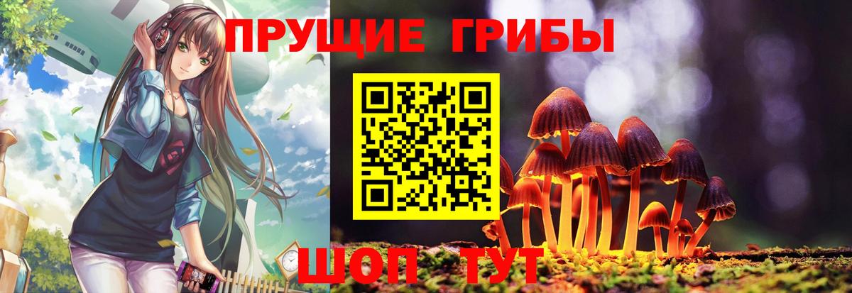 Ковров  цена   Вход с VPN  Псилоцибиновые грибы прущие грибы  Псилоцибиновые грибы Psilocybe 